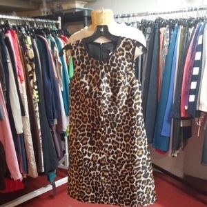 J Crew Sleeveless Dress